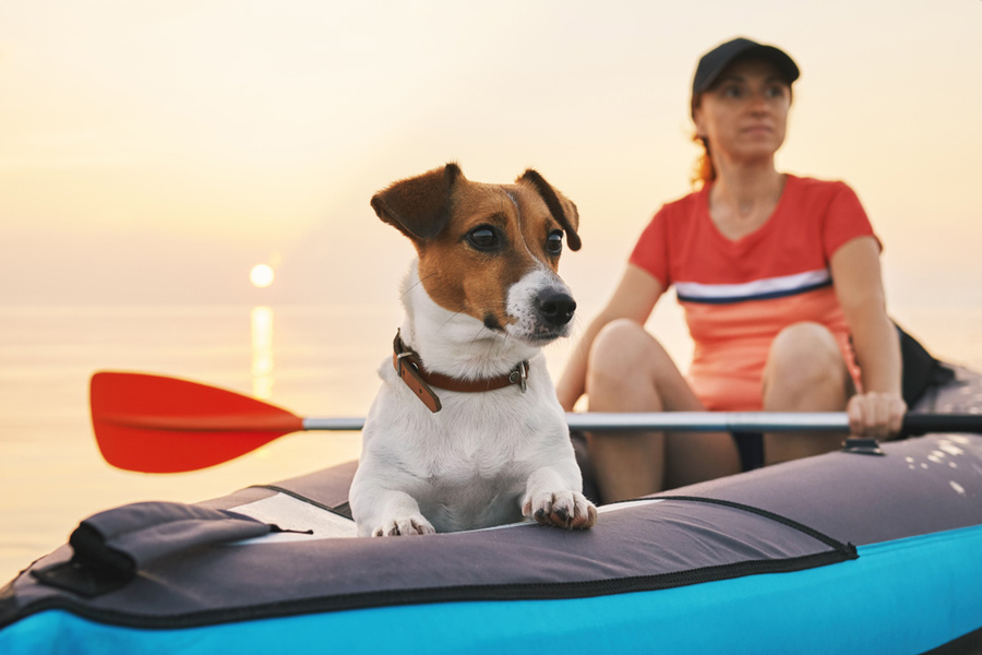 Best inflatable kayak For dogs