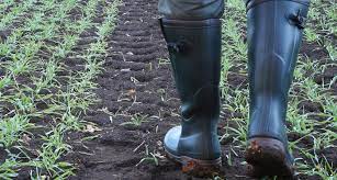 Best rubber hunting boots for widefeet